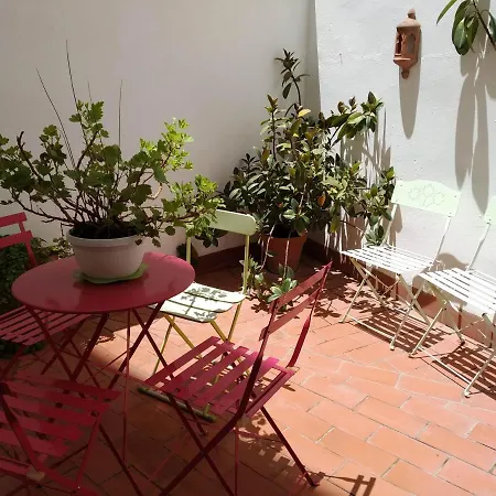 公寓 Patios Con Encanto *