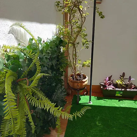 Patios Con Encanto *