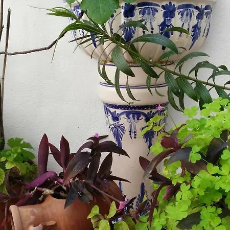 Patios Con Encanto Apartamento