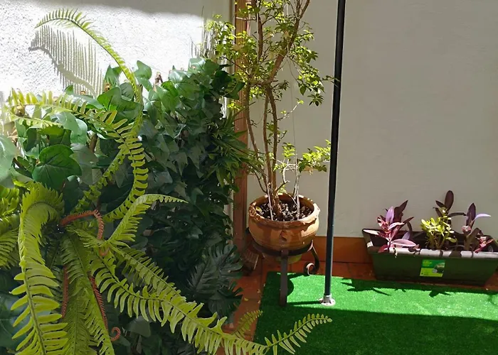 Patios Con Encanto *