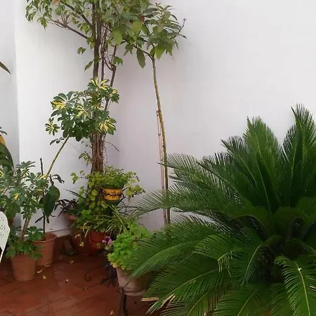 Patios Con Encanto Apartamento *